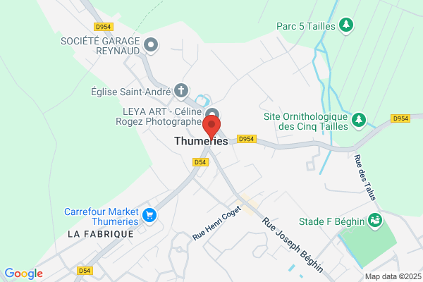 Dhainaut Francoise