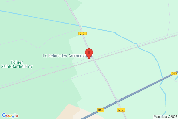 Animal S Relais
