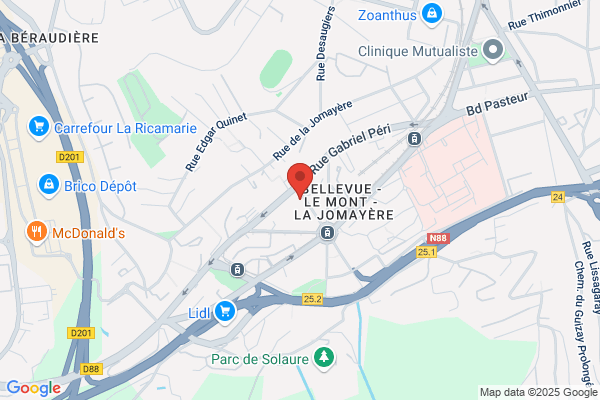 Action Saint Etienne-Brisson