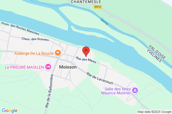 LAMOISSONNIERE