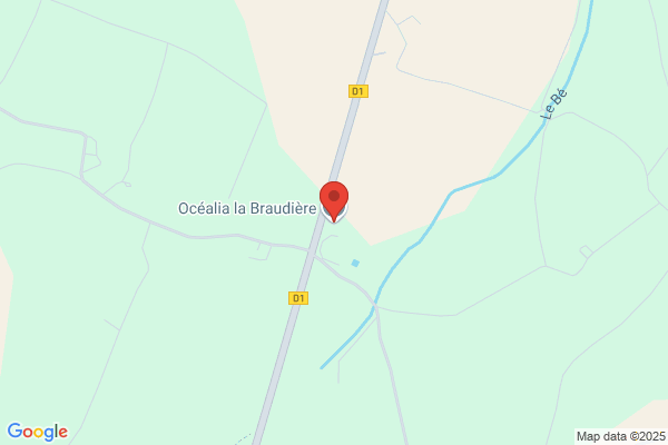 Cadeia Cooperative Agricole Departement Insemination Artific