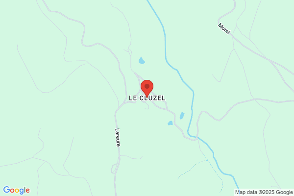 Cluzel Michel