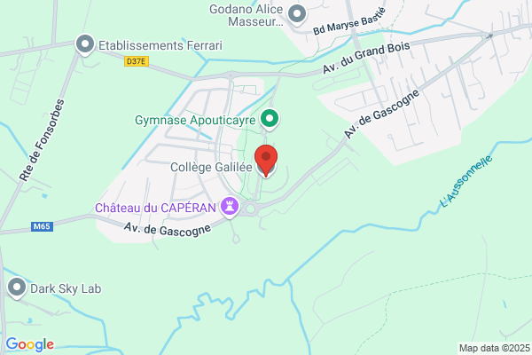 College La Salvetat Saint Gilles Vie Scolaire