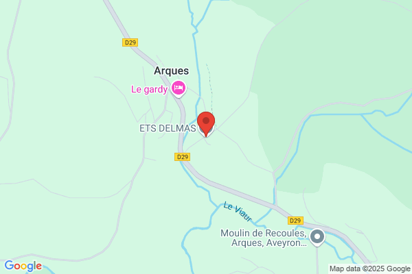 Delmas Thierry