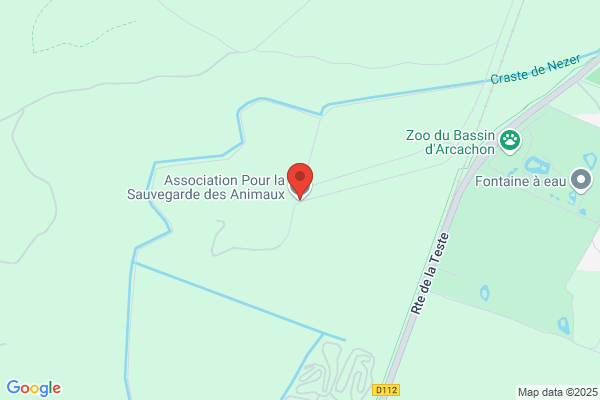 Association Pour La Sauvegarde Des Animaux