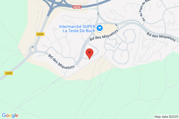 Bellec Pascal Arcachon