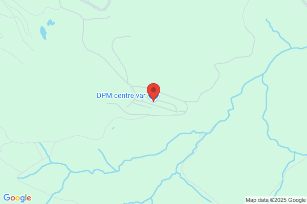 Dpm83