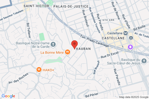 SV CONSULTANT