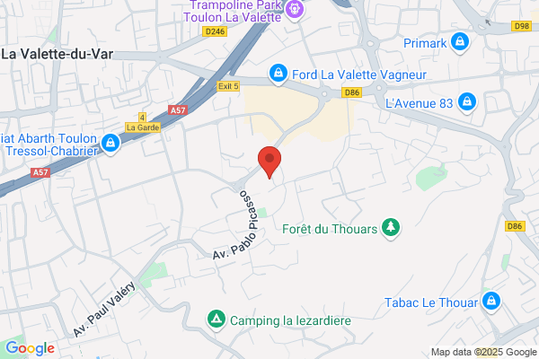 Clinique Veterinaire Des Docteurs Thierry Boubee Jean luc