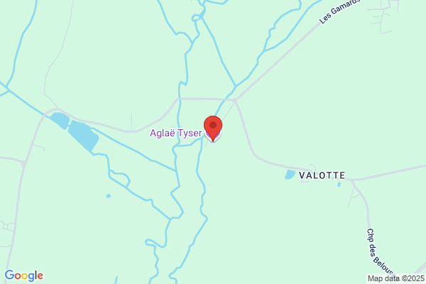 Aglaee