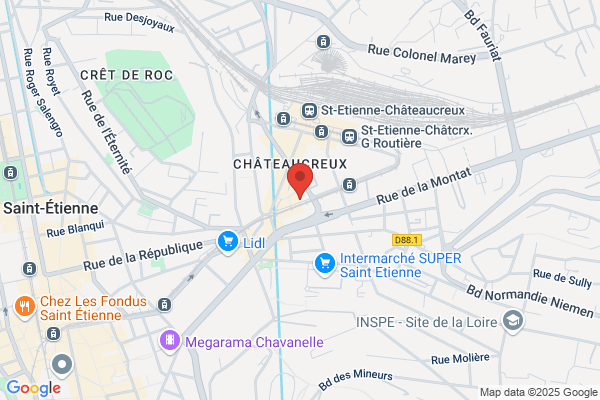 Aralis Association Rhone Alpes Logement Et Insertion sociale se