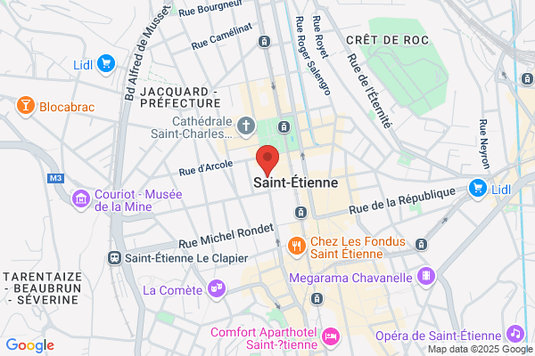 Avf Saint Etienne Accueil Des Villes Francaises