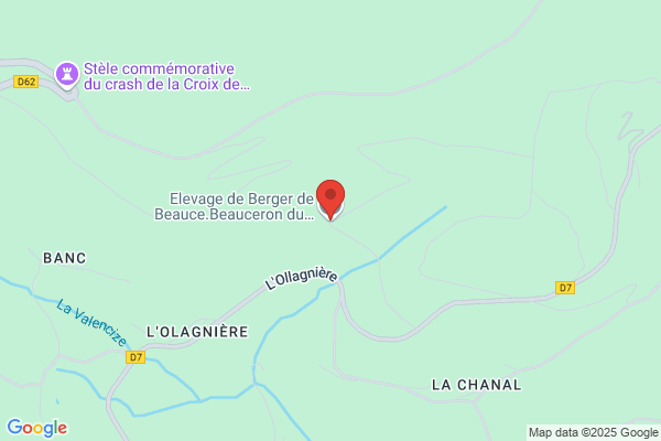 Club Des Amis Du Beauceron