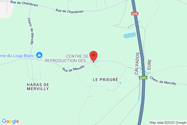 CENTRE DE REPRODUCTION DES ETALONS DE DRESSAGE