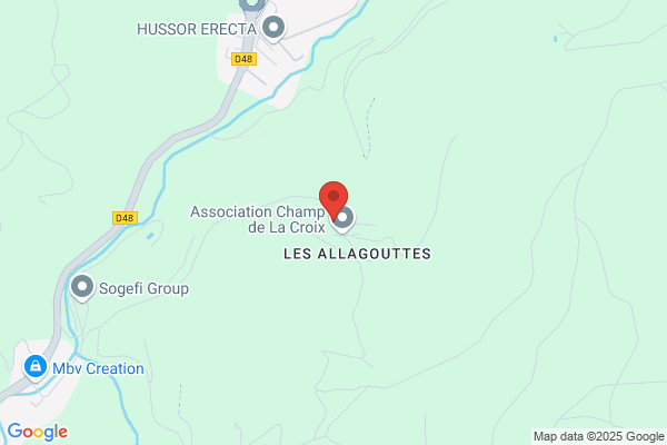 Bois Antoine Facteurs Orgues