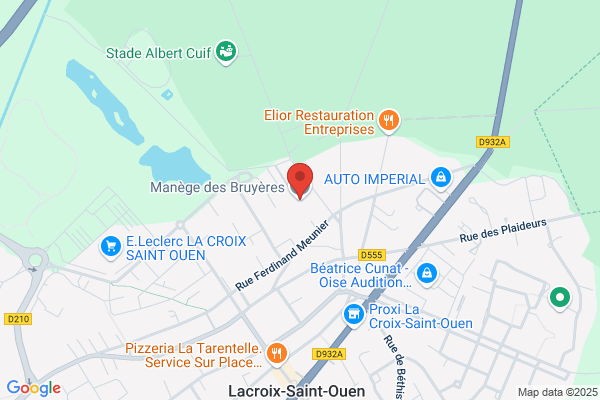 Detourbet Alain Equitation