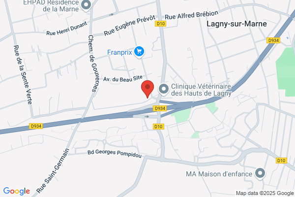 PRO FILS 77