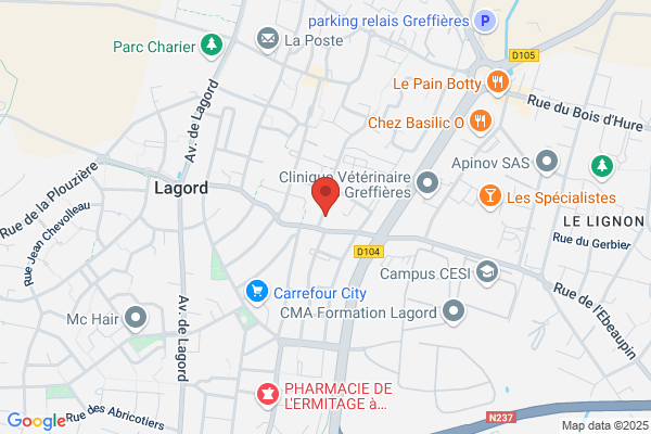 I Conseil