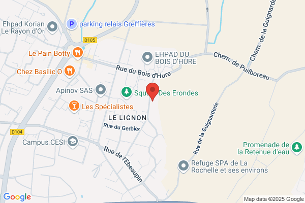 J P Pomies Histologie