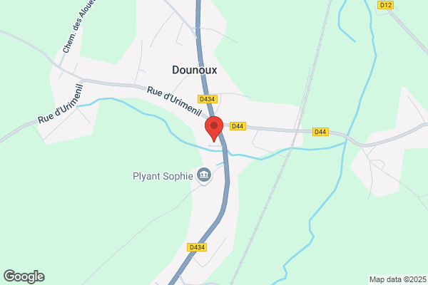 Doux Poussins