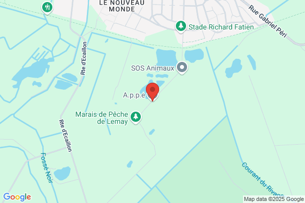 Appe Association De Prevention De Pecquencourt Et Environs