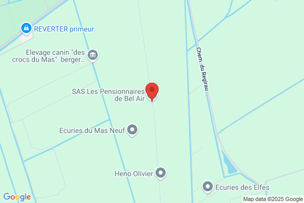 Airkelso Chenil Des Sabouillons