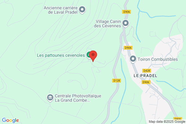 SDE INFORMATIQUE