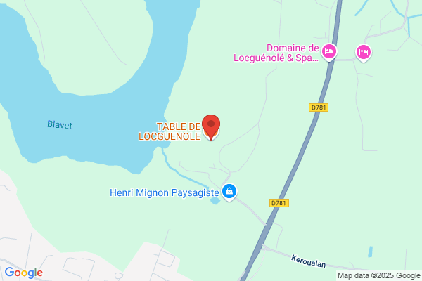 CHATEAU DE LOCGUENOLE