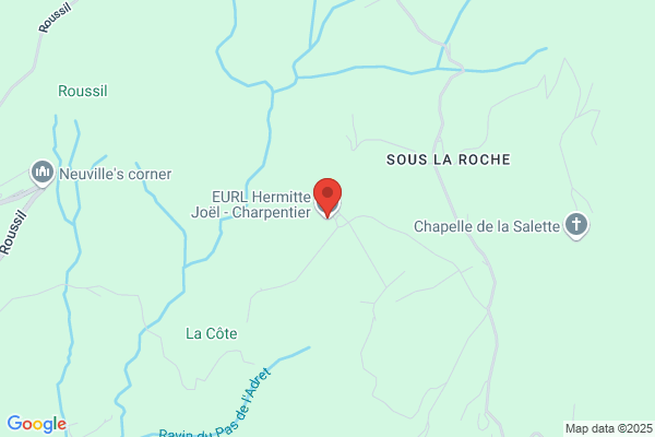 JOEL L'HERMITE