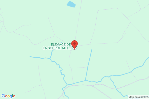 ELEVAGE DE LA SOURCE AUX BECASSES