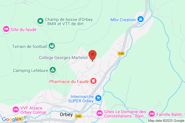 College D Enseignement Secondaire