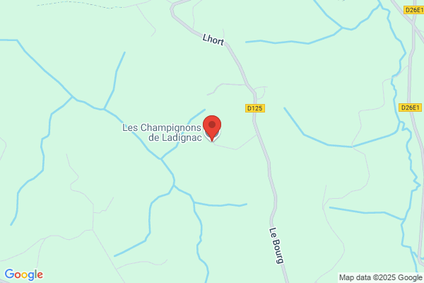 Champignon de la Mortagne