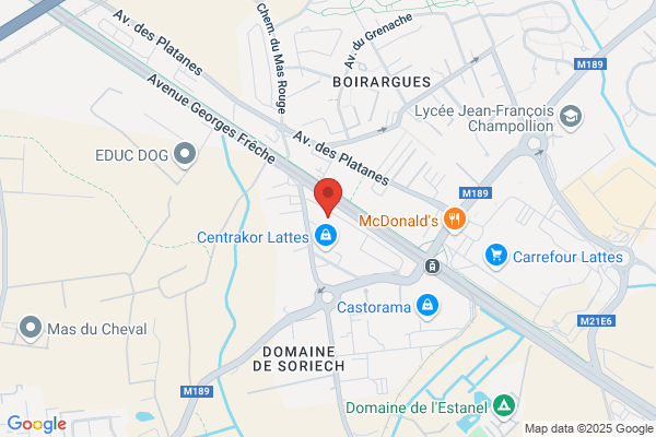 Crip Lr Comite Regional Interconsulaire Promotion
