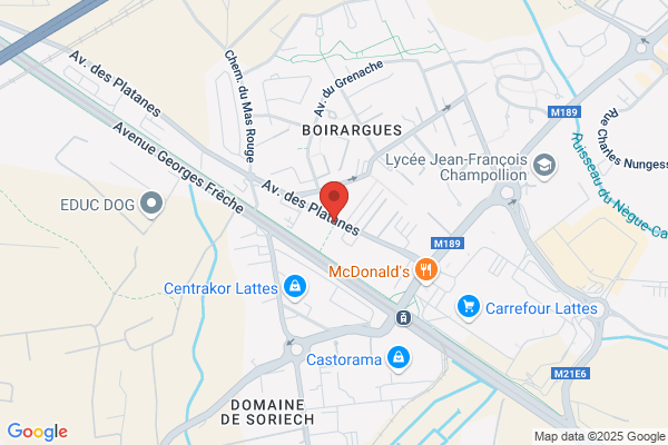 Bleu Platine