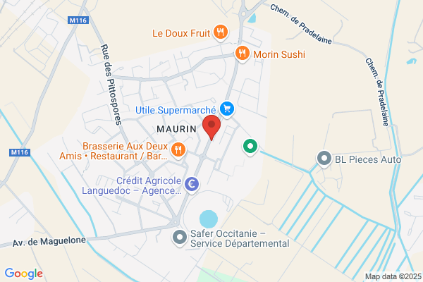 Gravier Michel Chir Dentiste
