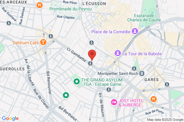 Acgfi France