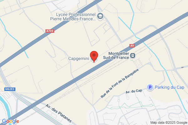 Cap Gemini France Division Exa
