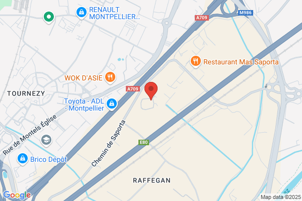 Ateliers De Saporta Cat