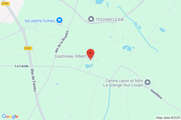 Gastineau Albert