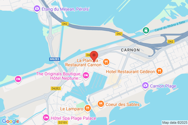 Holos Conseil Formation Audit Developement