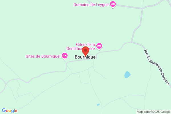 Bourniquel Robert