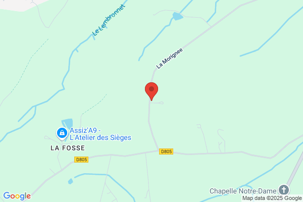 Genis Michel Maitre D Oeuvre