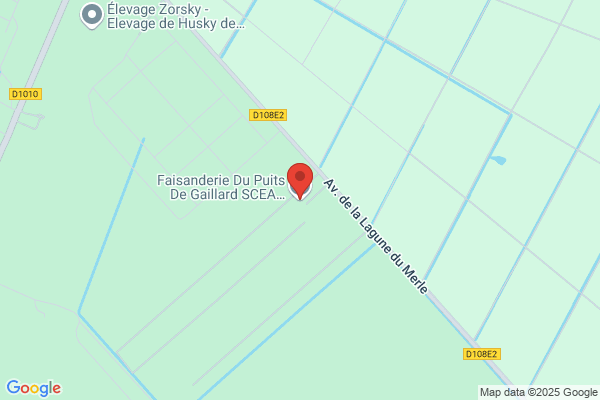 Grasseau Jean Paul Eleveur