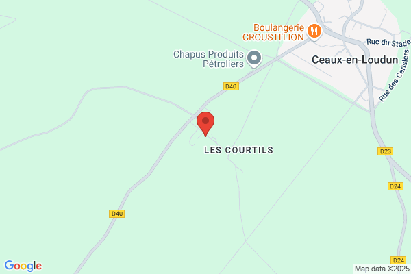 Doux Joel