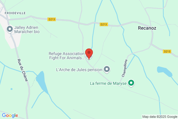 Association Aux Animaux Rethaise