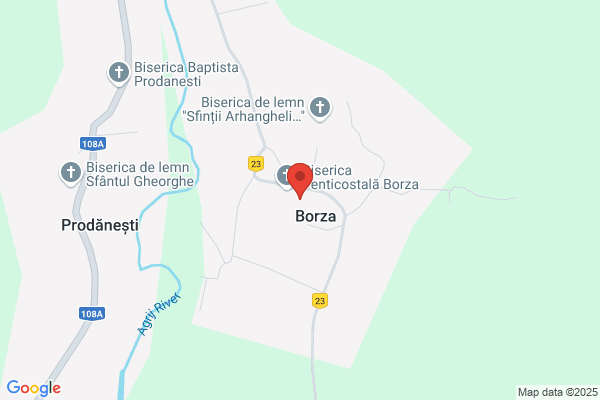 Borza Gheorghe