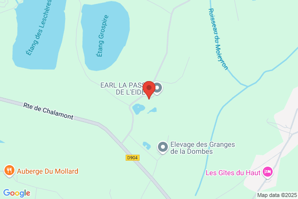 Genesis informatique