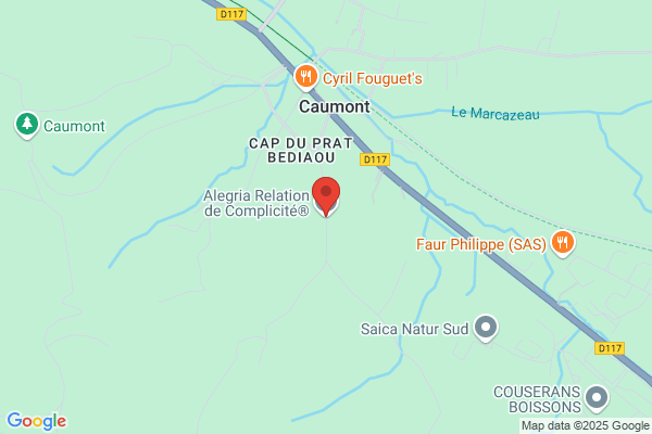 Alegria Activity France