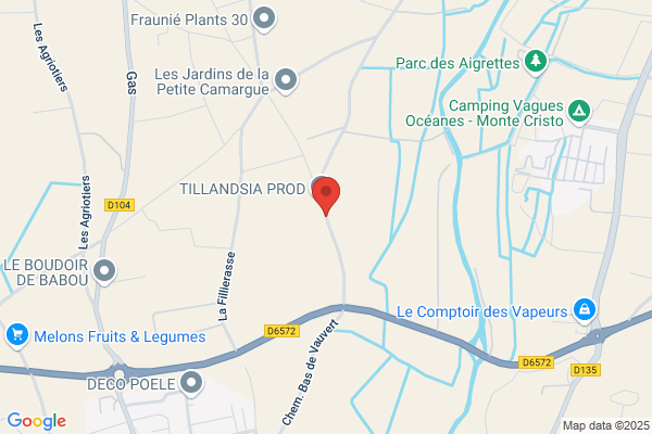 Combe Jean Paul