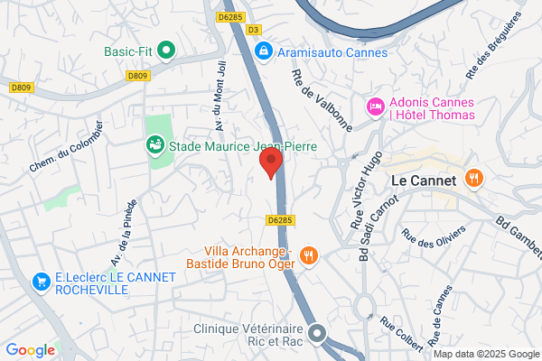 Carnot Automobiles